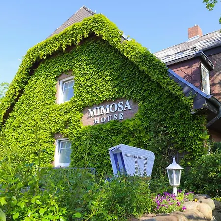 Mimosa House 4* Westerland