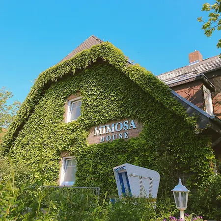 Hotel Mimosa House 3*