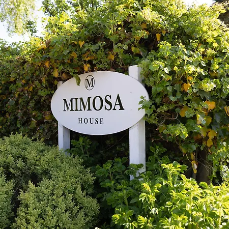 Mimosa House