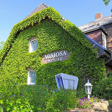 Hotel Mimosa House 3*