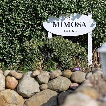 Mimosa House Hotel 3*